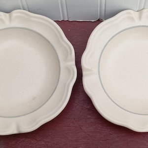 Pfaltzgraff dishes/ set of 2 plates/ Vintage Pfaltzgraff dishes/ blue trim dishes/ Pfaltzgraff blue