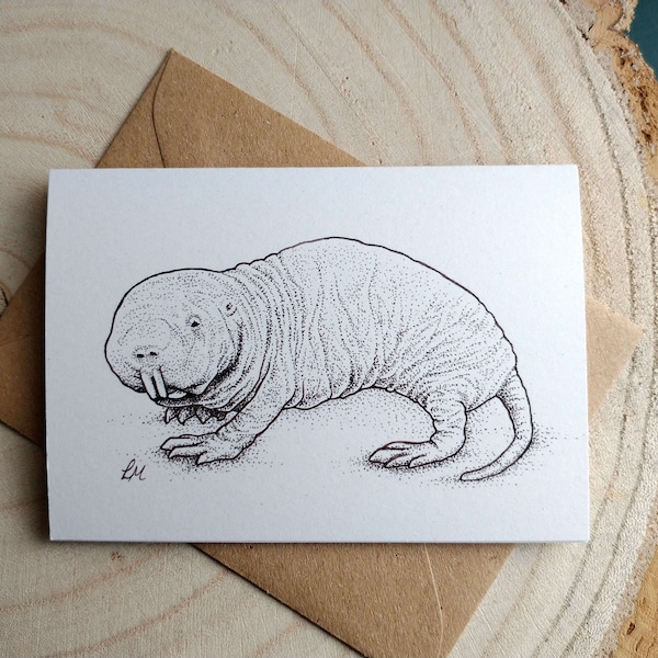 Naked Mole Rat Greeting Card | Biological Illustration A7 Notecard | Single Blank Recycled Card