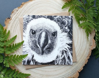 Greeting Card – Vulture by Laura Martin, Bird of Prey Art, Endangered Species Illustration