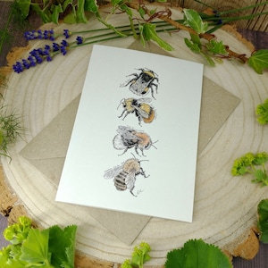 Bee Birthday Card, Garden Bumblebee Illustration, Wildlife Identification Guide, Card for Gardener