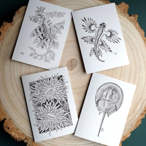 Collection of Four Marine Creature Notecards, Wildlife Illustrations by Laura Martin, Blank A7 Recycled Greeting Cards