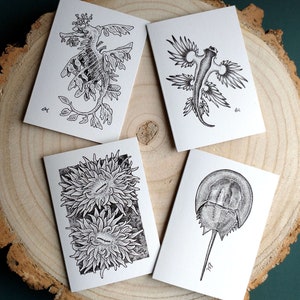 Collection of Four Marine Creature Notecards, Wildlife Illustrations by Laura Martin, Blank A7 Recycled Greeting Cards