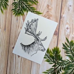 de voeux de daim | Illustration de la faune sauvage A7 | Une seule carte vierge recyclée