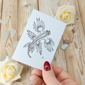 Carte de voeux bleue Glaucus | Illustration de la faune sauvage A7 | Une seule carte vierge recyclée