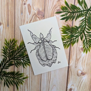 carte de voeux d'insecte | Illustration de la faune sauvage A7 | Une seule carte vierge recyclée