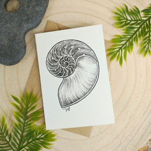 Carte de voeux Nautilus Shell, Mini carte pour lettres créature marine, Illustration en coupe transversale de coquillage, Carte de voeux A7 recyclée unique