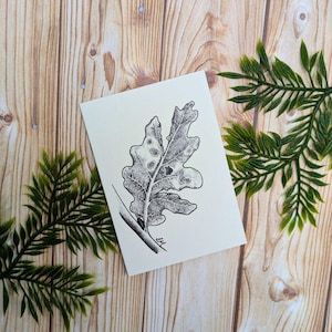 de voeux en chêne d'automne | pour notes A7 Illustration botanique | Une seule carte vierge recyclée