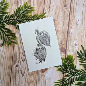 Carte de voeux Physalis | Mini carte pour notes illustration botanique | Une seule carte vierge recyclée