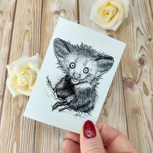 Aye-Aye Greeting Card | Wildlife Illustration A7 Notecard | Single Blank Recycled Card