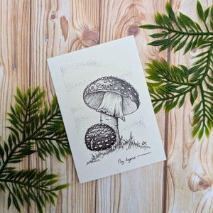 champignon vénéneux d'agaric de mouche de Zazzle.be Liste d'envies Vous avez des idées ? pour notes A7 Illustration Cottagecore | Une seule carte vierge recyclée
