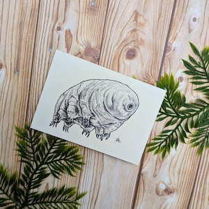 Carte de voeux tardive | Mini carte pour correspondance avec illustration biologique | Une seule carte vierge recyclée