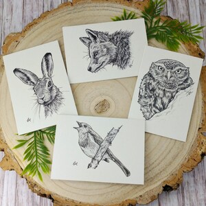 Collection de quatre cartes de correspondance sur la faune britannique, illustrations de la nature par Laura Martin, cartes de voeux vierges A7 recyclées