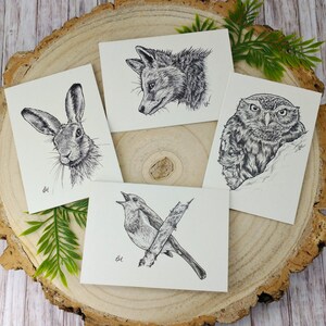 Collection of Four British Wildlife Notecards, Nature Illustrations by Laura Martin, Blank A7 Recycled Greeting Cards