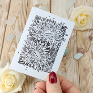 Carte de voeux corail, carte pour lettres A7 illustration de la faune, carte blanche recyclée unique, cadeau de plongeur