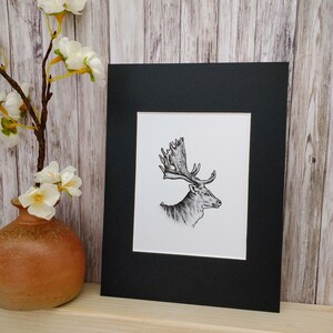 May include: A black and white illustration of a deer with large antlers, printed on white paper and framed with a black mount.