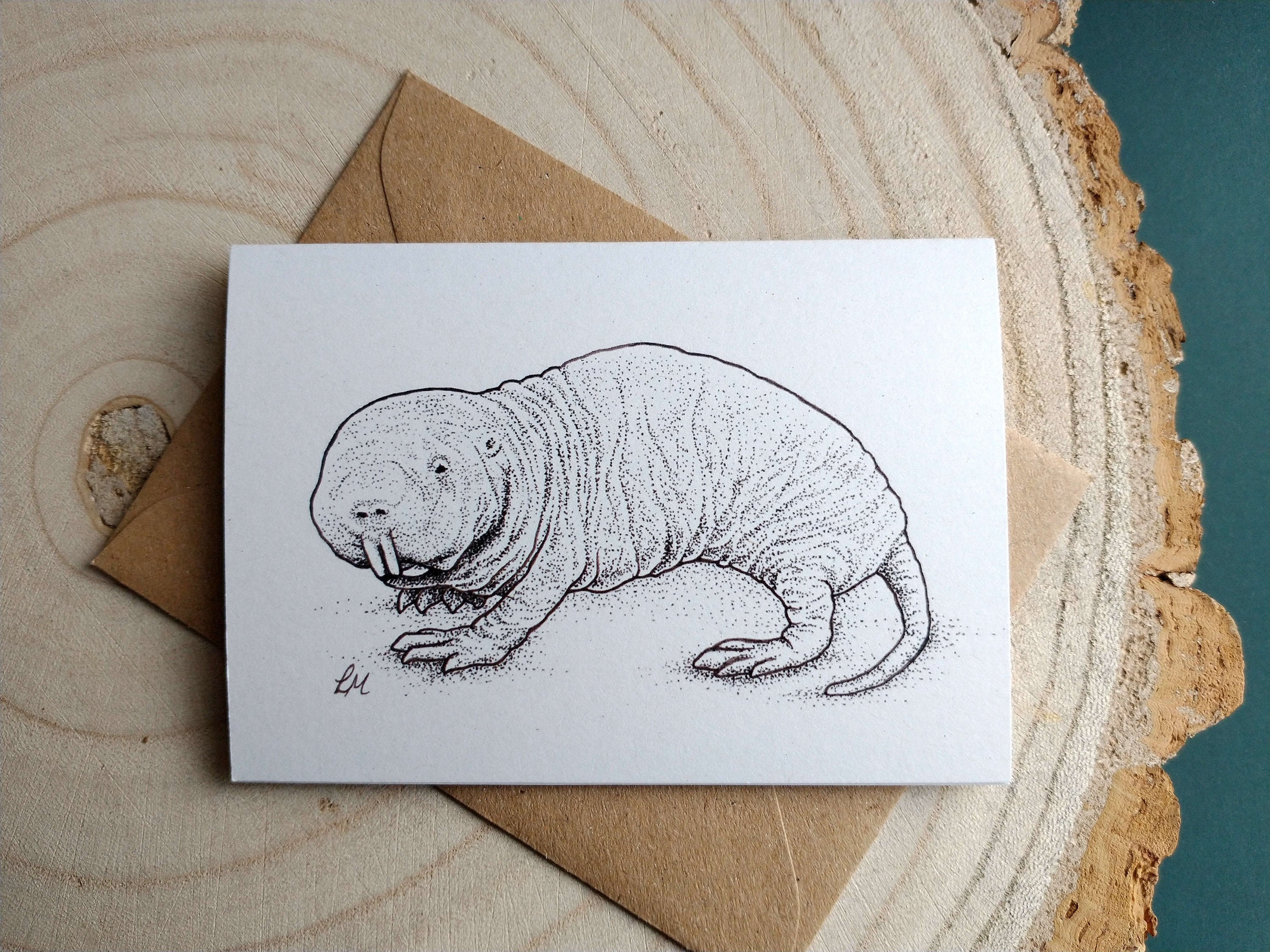 Set of Four Notecards Naked Mole Rat Illustration by Laura | Etsy