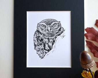 Original Dotwork Ink Illustration - Little Owl