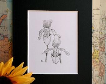 Original Dotwork Ink Illustration - Slipper Orchid