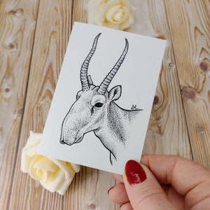de voeux antilope saïga | Illustration de la faune en voie de disparition mini carte pour notes | Une seule carte vierge recyclée