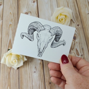 de voeux de crâne de bélier | pour notes A7 Illustration de la nature | Une seule carte vierge recyclée