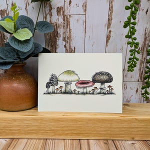 Mushroom Birthday Card, Poisonous Toadstool Illustration, Nature Identification Guide, Card for Hiker
