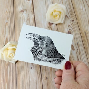 de voeux corbeau | Illustration de la faune sauvage A7 | Une seule carte vierge recyclée