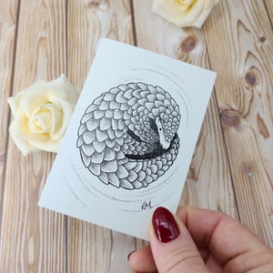 de voeux de pangolin | Illustration A7 de la faune en voie de disparition | Une seule carte vierge recyclée