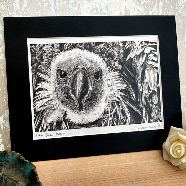 Limited Edition Print - White-Backed Vulture, Mounted A5, Ready to Frame
