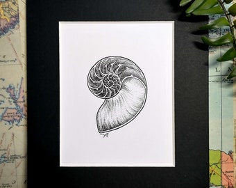 Original Dotwork Ink Illustration - Nautilus Shell