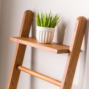 We combine the blanket ladder wood and blanket storage bathroom ladder wood  as a spacesave furniture. Here is designer towel rack ladder with plant stand farmhouse living room for your home!