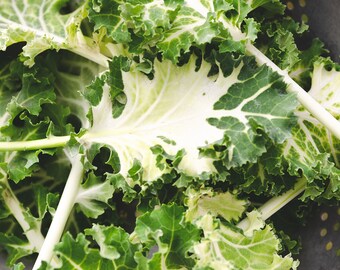 Casper Kale Seeds