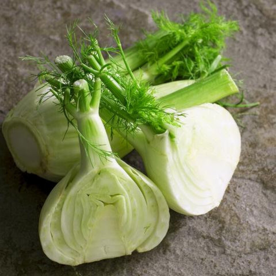 Perfection Fennel Seeds Etsy