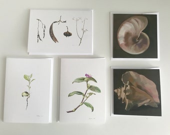 Set of 5 notecards, botanical Illustrations, Shell paintings, suitable for framing, blank inside, envelopes included, unframed