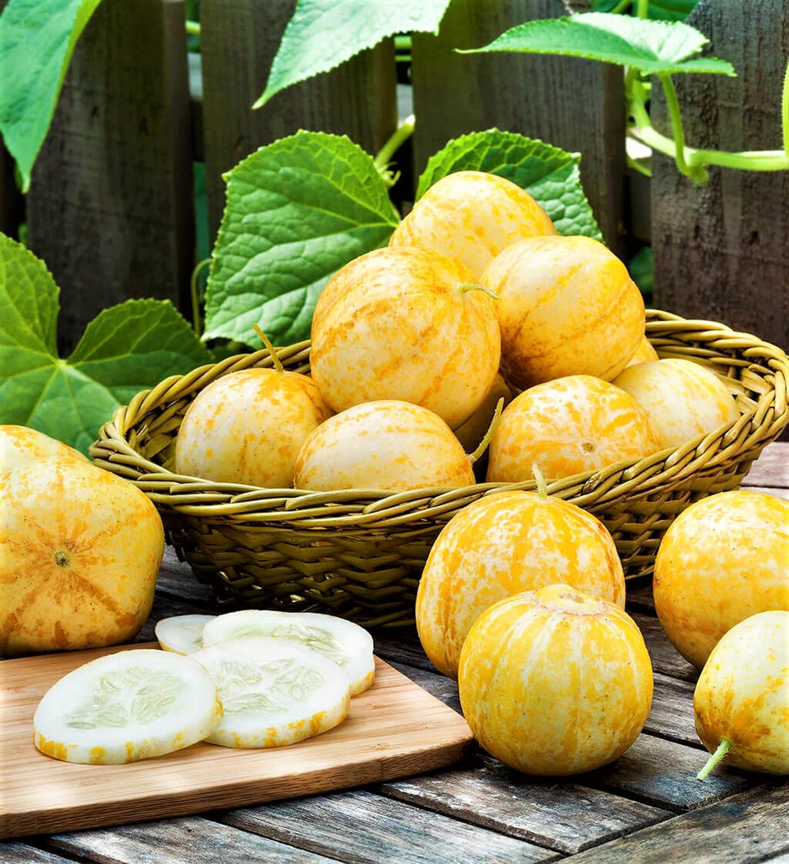 Lemon Cucumber 30 Seeds heirloom NONGMO Rare Crispy Sweet Etsy