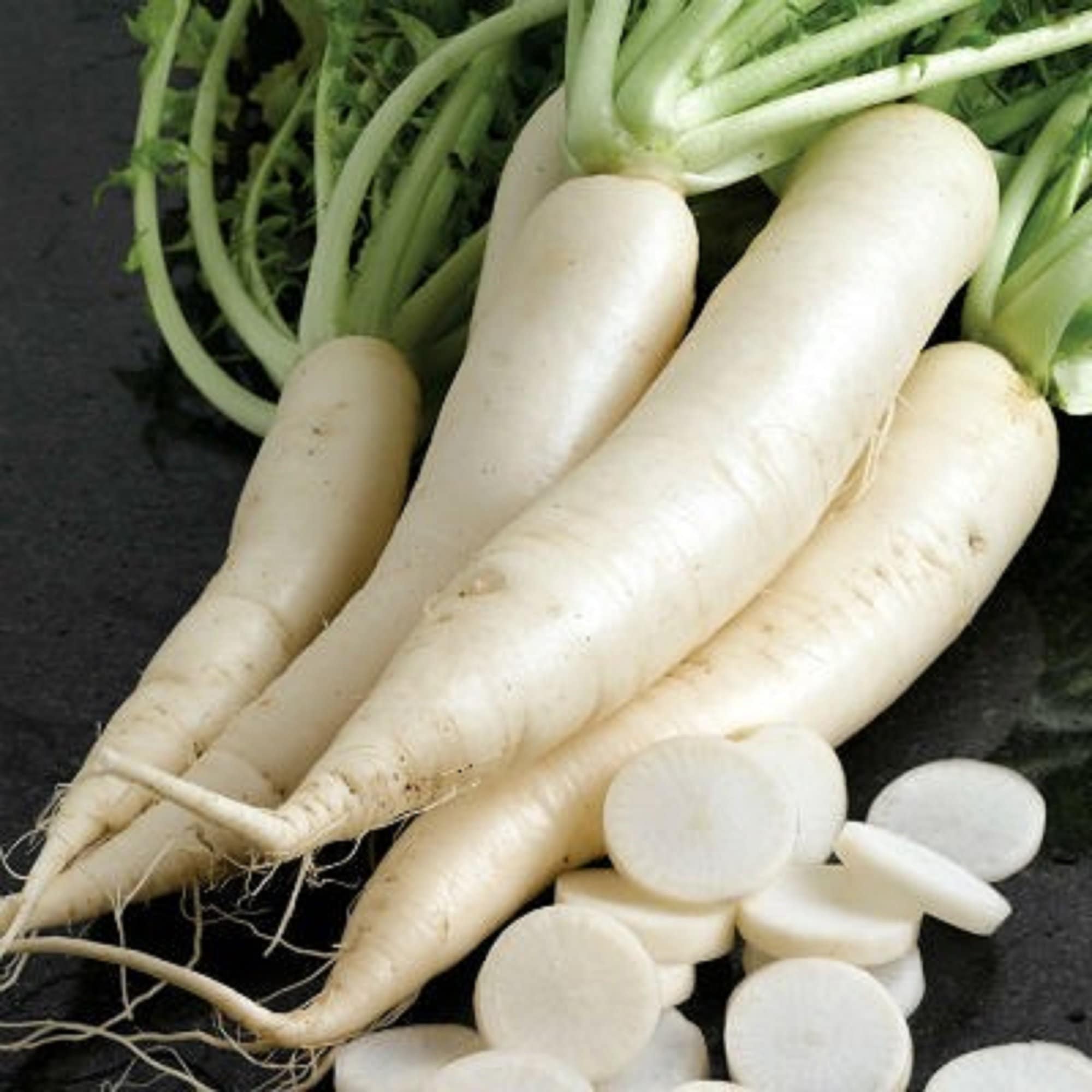 White Icicle Radish Seeds 100 SEEDS NONGMO Etsy
