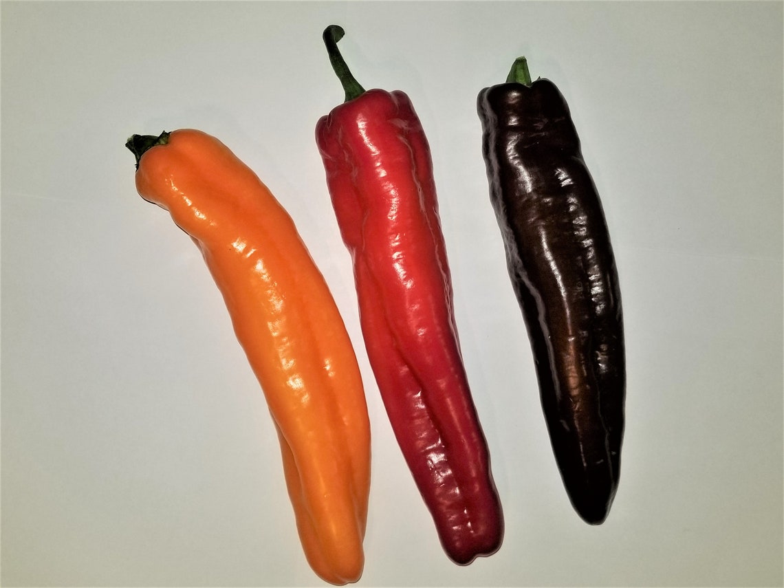 Twister Pepper 15 Seeds Sweet Rare Massive 1012 inches Long Etsy