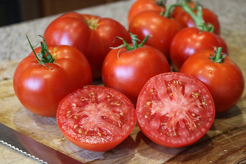 Better Boy Tomato 15 Seeds limited Qty Heirloom Non GMO Etsy