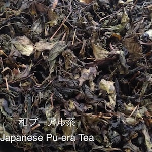 Kyoto Pu-erh Tea: Japanese Pan-Fried Green Tea, Loose Leaf