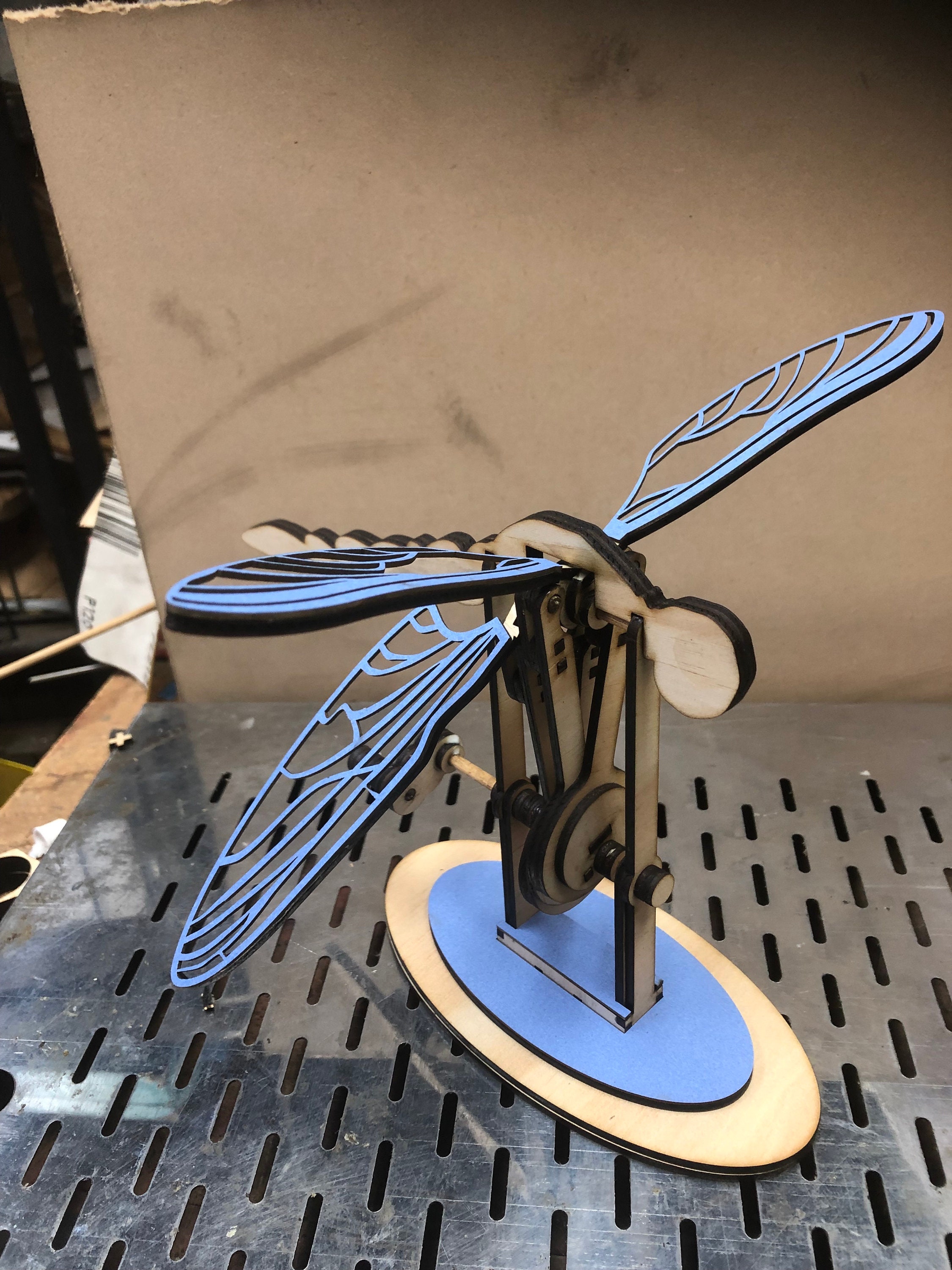Dragonfly Automata