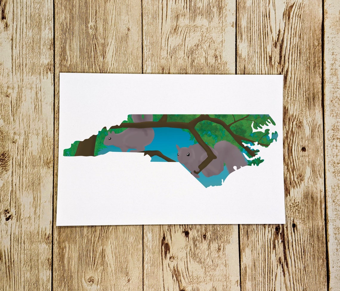 North Carolina Postcard North Carolina Postcard Set North | Etsy