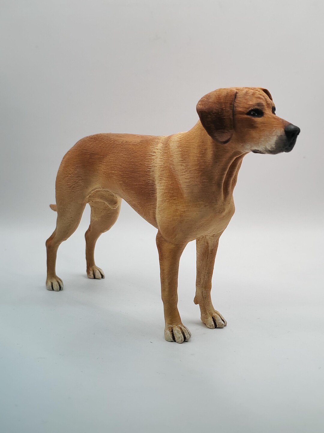 Rhodesian Ridgeback Statue: Personalized Design and Painting - Wedding ...