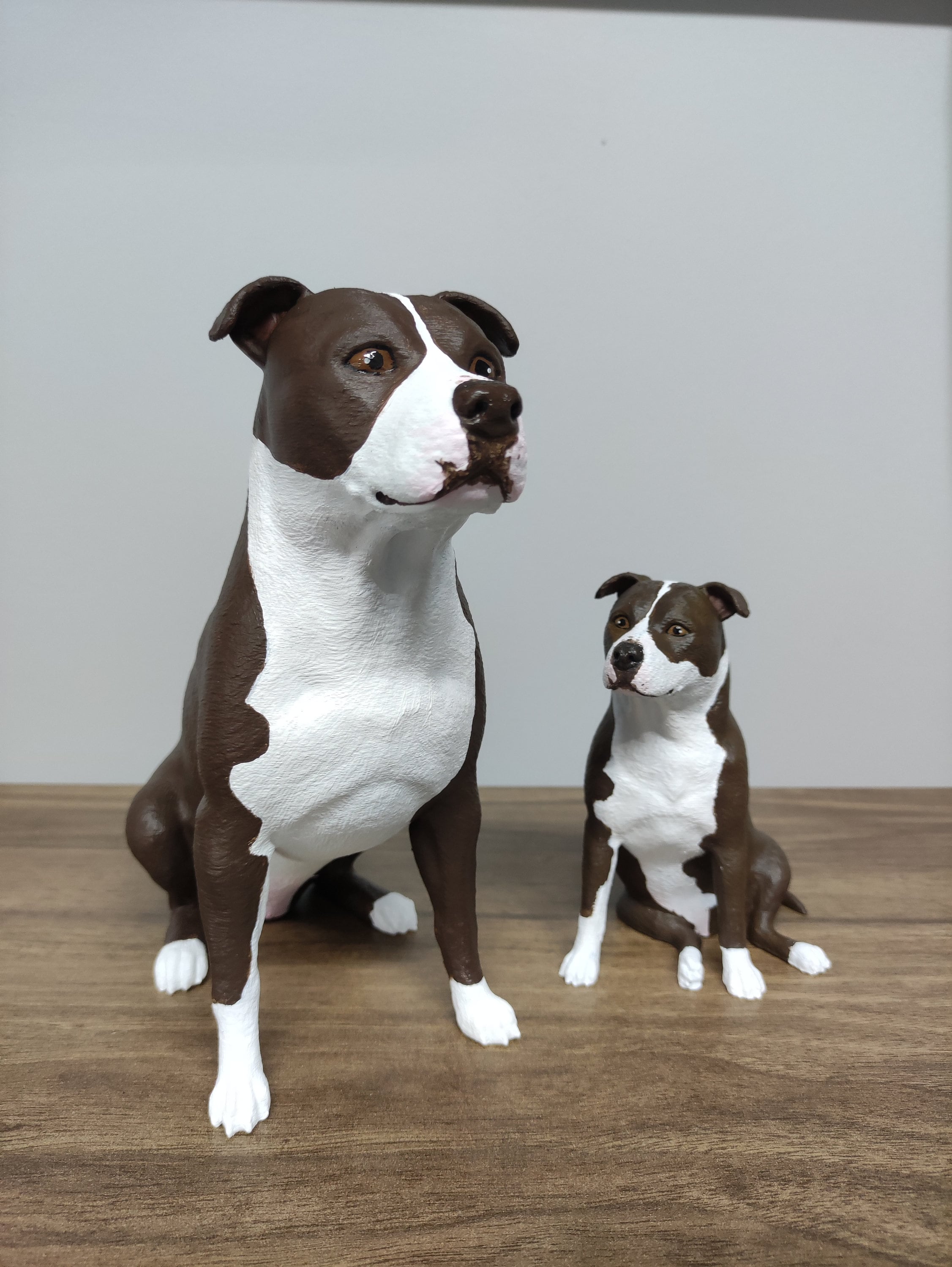 Buy Staffordshire Bull Terrier Collar Online In India India - Main Image