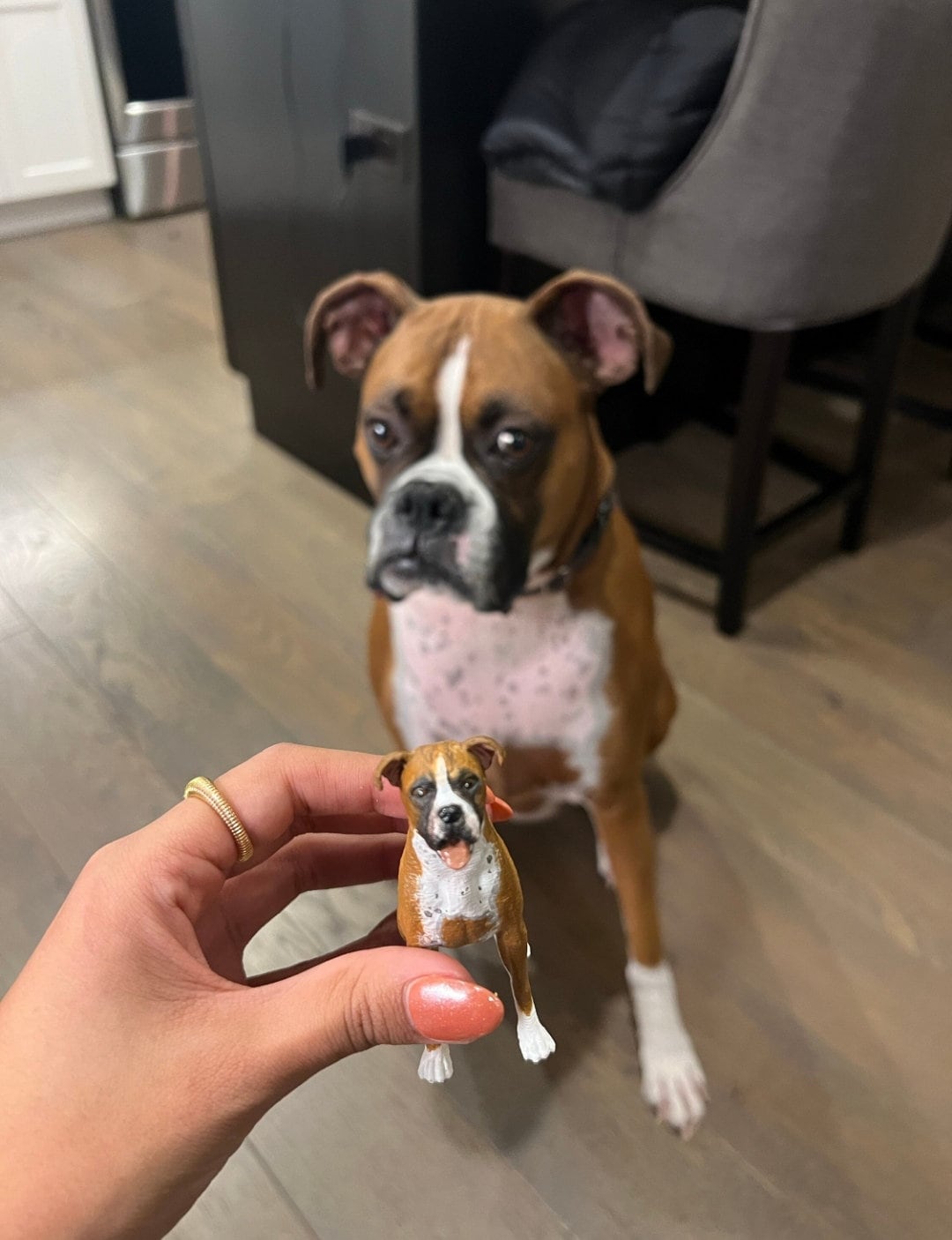 Boxer Dog Personalized Painting Service Handmade Painting 3D