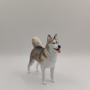 May include: A white, gray, and brown figurine of a husky dog with blue eyes. The dog is standing on a white surface and has its tongue sticking out.