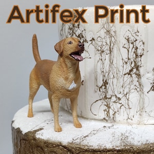 Labrador retriever cake topper - cake topper nuziale - servizio di pittura personalizzato - cane Labrador - compleanno cane