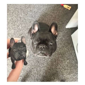 Bulldog francese personalizzato - Servizio di pittura personalizzato - Decorazione per torta Frenchie - Decorazione per torta per cane - Decorazione per torta nuziale - Compleanno per cane
