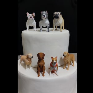 Personalized cake topper - Personalized painting service  - Handmade painting - 3D Dog Statue