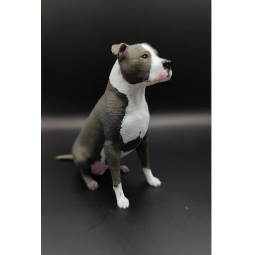 Neil Eyre Artist Eyredesigns Staffordshire Bull Terrier Staffy