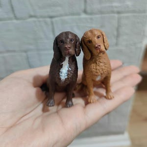 May include: Two miniature dog figurines. One is a dark brown color with a white patch on its chest. The other is a lighter, reddish-brown color. Both are sitting upright with their ears flopped down.