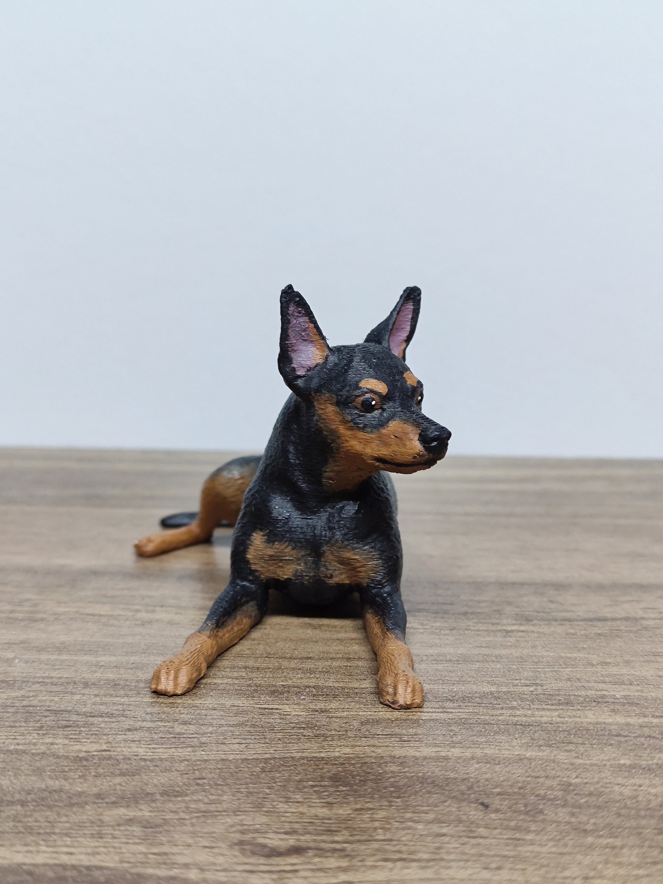 mini doberman price